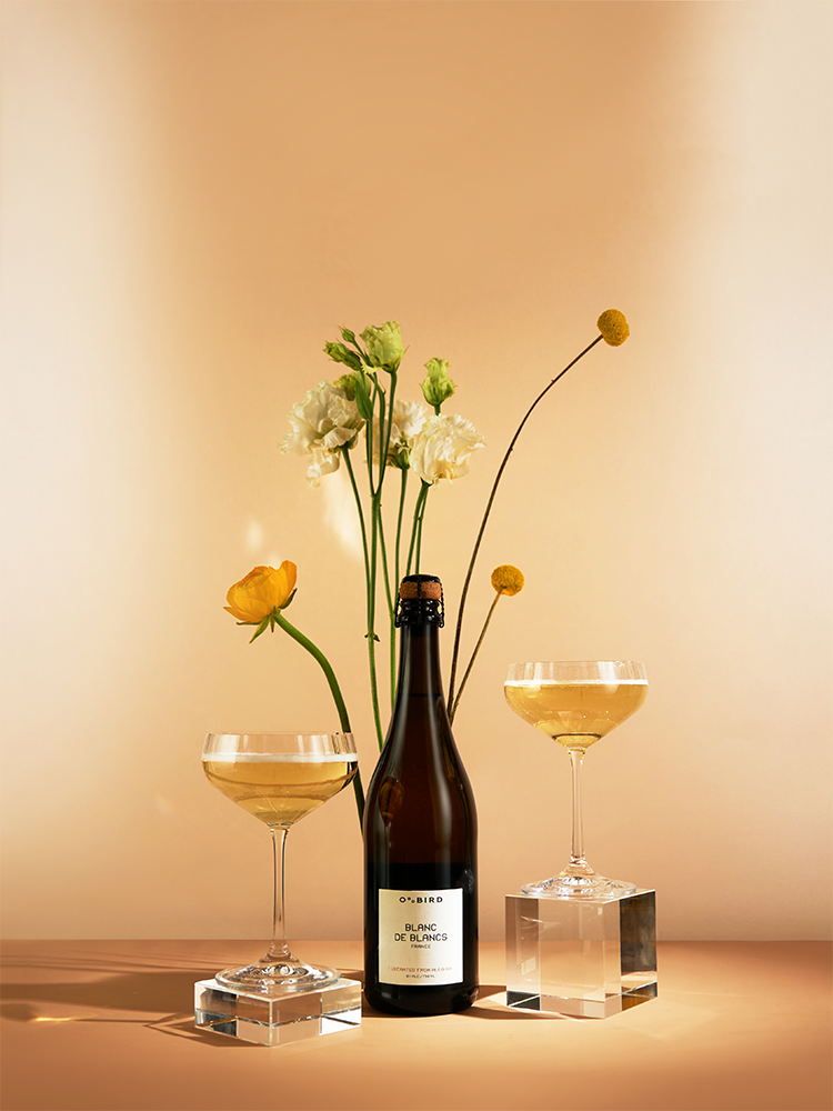 Игристое вино безалкогольное Blanc de Blancs, 0,5%, Oddbird, (159171), Франция, Лангедок-Руссильон, 0.75 л, Блан де Блан Безалкогольное, цена 2094 рублей