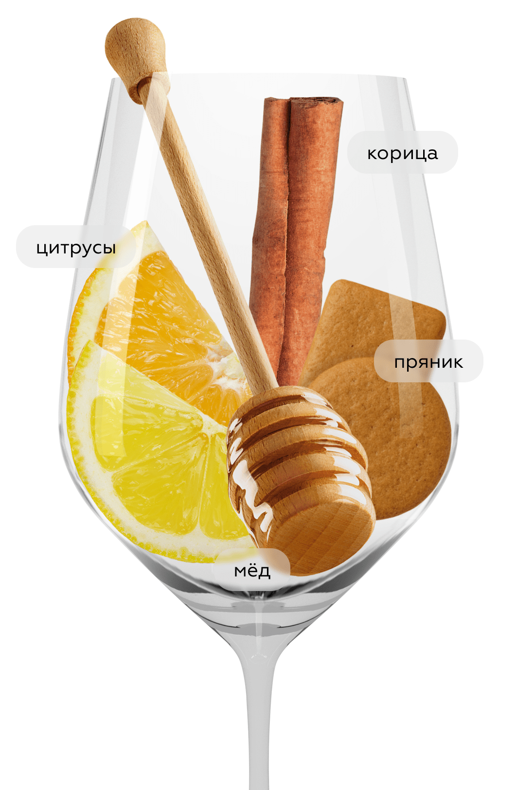 Шампанское Brut, Chanoine Freres, (161095), Франция, Шампань, белое, брют, 0.75 л, Брют, цена 10190 рублей