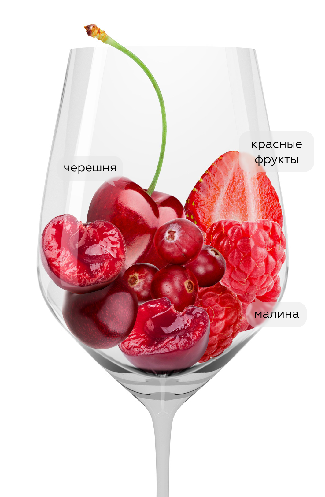 Вино Chianti Colli Senesi, Fattoria del Cerro, 2023, (152801), Италия, Тоскана, красное, сухое, 0.75 л, Кьянти Колли Сенези, цена 3390 рублей