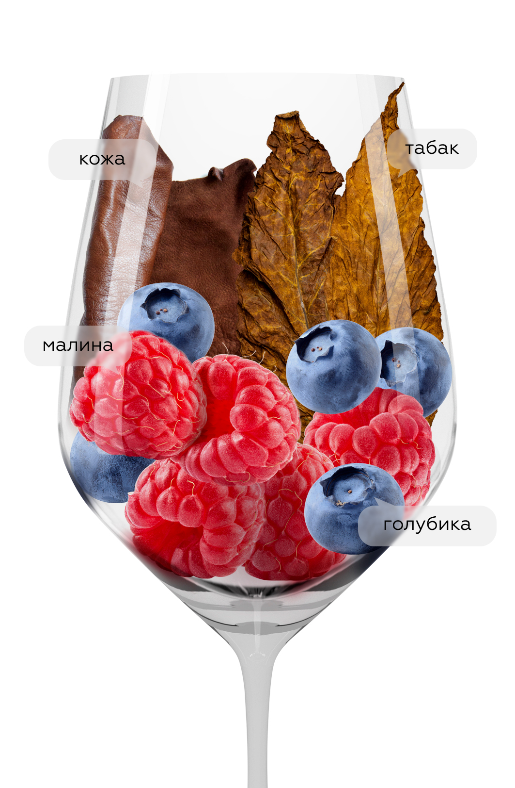 Вино Langhe Nebbiolo, Mauro Molino, 2022, (144386), Италия, Пьемонт, красное, сухое, 0.75 л, Ланге Неббиоло, цена 4690 рублей