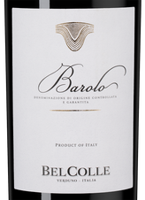 Вино Barolo, (146793), красное сухое, 2020 г., 0.75 л, Бароло цена 4990 рублей