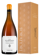 Вино Pinot Grigio, (125929), белое сухое, 2019 г., 1.5 л, Фуориписта Пино Гриджо цена 17650 рублей