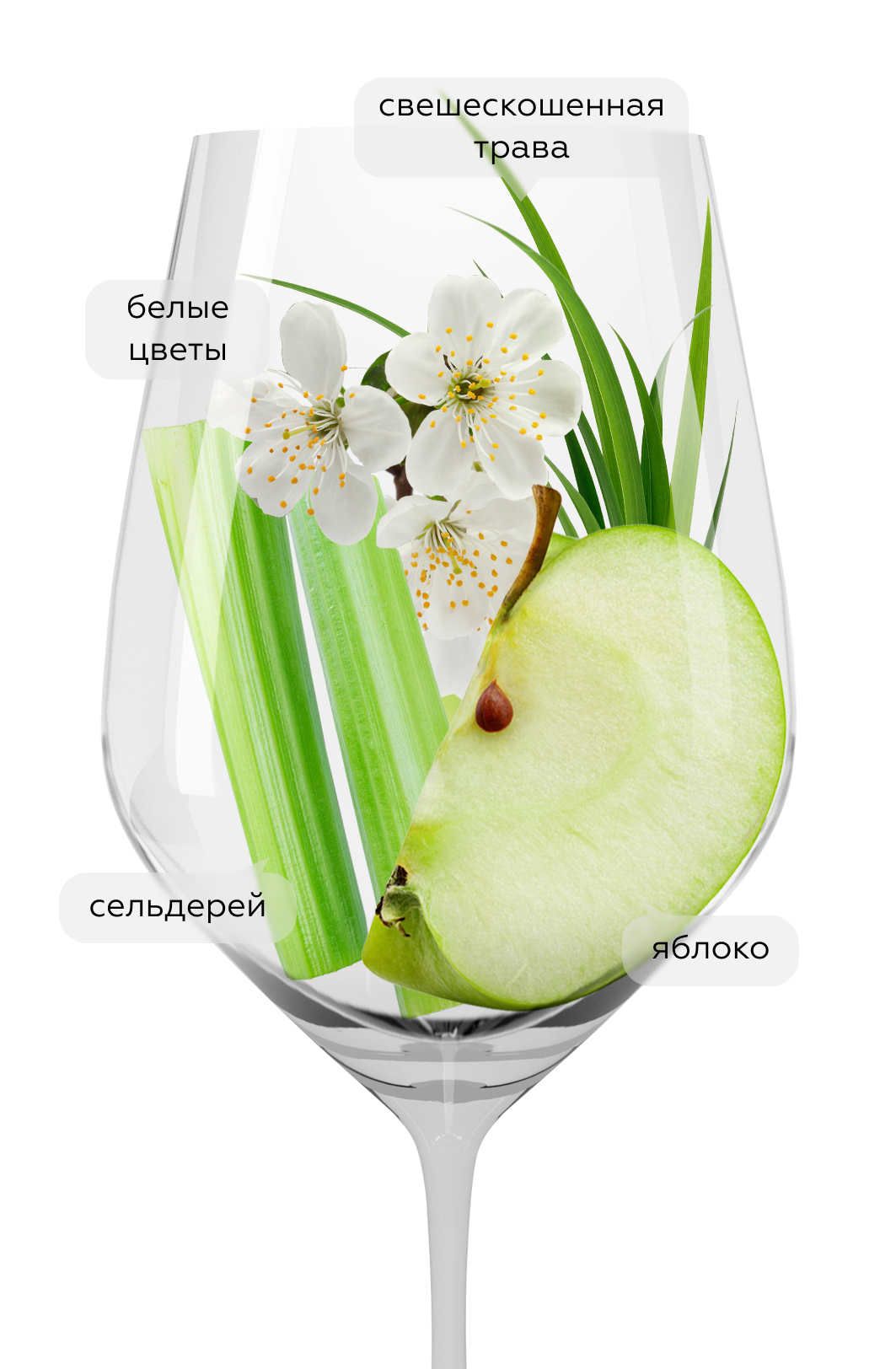 Вино Sauvignon Blanc , Pio Cesare, 2021, (137932), Италия, Пьемонт, белое, сухое, 0.75 л, Ланге Совиньон Блан, цена 4490 рублей