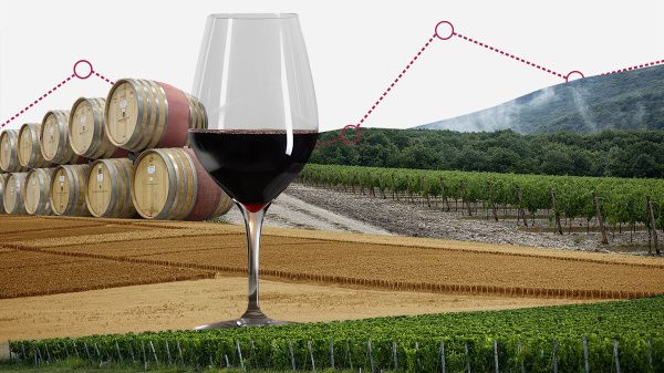 Большая Русская Винная Экспедиция: впечатления и рекомендации экспертов