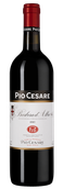 Красное вино региона Пьемонт Barbera d’Alba