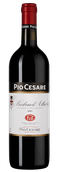 Barbera d’Alba