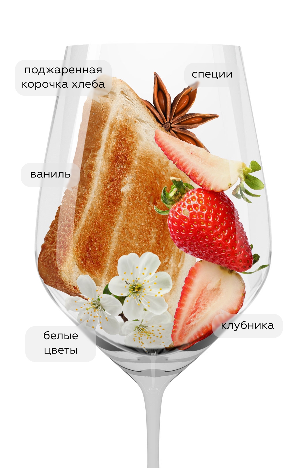 Игристое вино Sumarroca Brut Rose, Bodegues Sumarroca, 2022, (152032), Испания, Каталония, розовое, экстра брют, 0.75 л, Сумаррока Ресерва Брют Розе, цена 3490 рублей