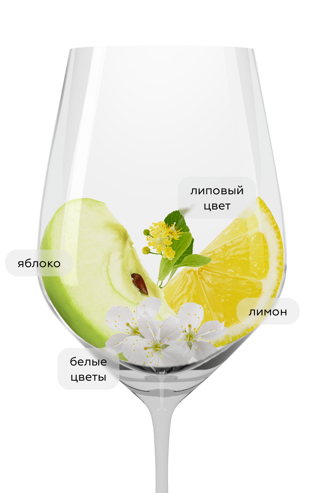 Вино Pouilly-Fuisse Les Villages, Maison Auvigue, 2022, (146779), Франция, Бургундия, белое, сухое, 0.75 л, Пуйи-Фюиссе Ле Вилляж, цена 11490 рублей