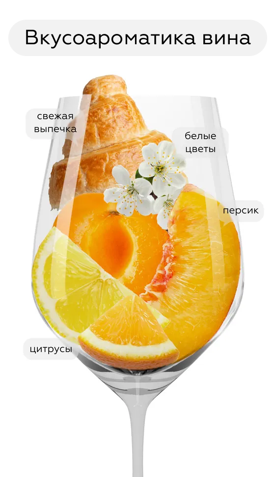 Игристое вино Kaapse Vonkel Brut, Simonsig, 2022, (145910), Южная Африка, Вестерн Кейп, белое, экстра брют, 0.75 л, Каапс Вонкель Брют, цена 3490 рублей