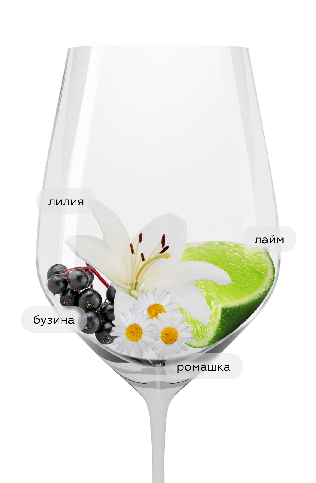 Вино Riesling Bockstein Kabinett, Nik Weis St. Urbans-Hof, 2024, (160480), Германия, Мозель, белое, полусладкое, 0.75 л, Рислинг Бокштайн Кабинетт, цена 4868 рублей