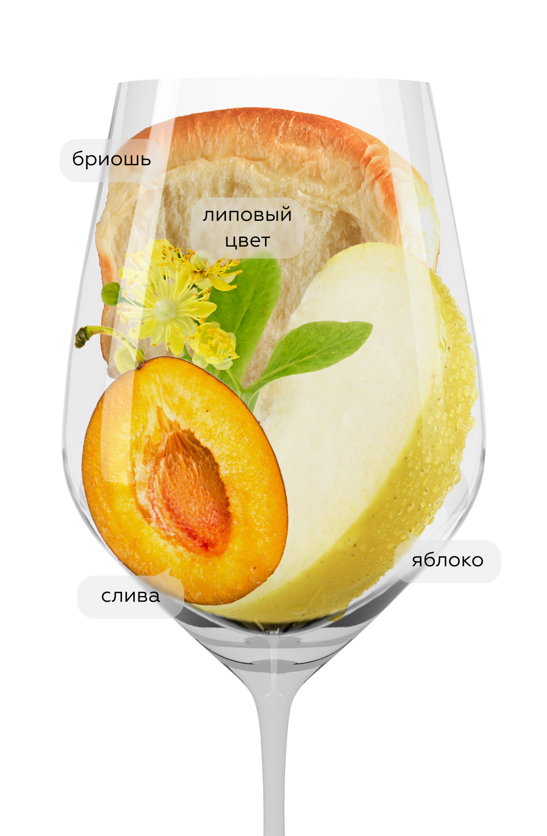 Игристое вино Магнатум Блан де Блан, Mantra Estate, 2023, (155303), Россия, Кубань, белое, брют, 0.75 л, Магнатум Блан де Блан, цена 2390 рублей