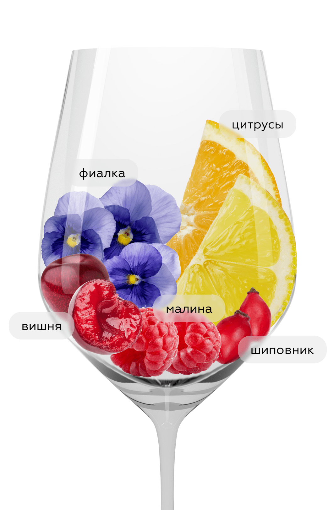 Вино Barolo Sottocastello di Novello Riserva, Ca`Viola, 2013, (149412), Италия, Пьемонт, красное, сухое, 0.75 л, Бароло Соттокастелло ди Новелло Ризерва, цена 29990 рублей