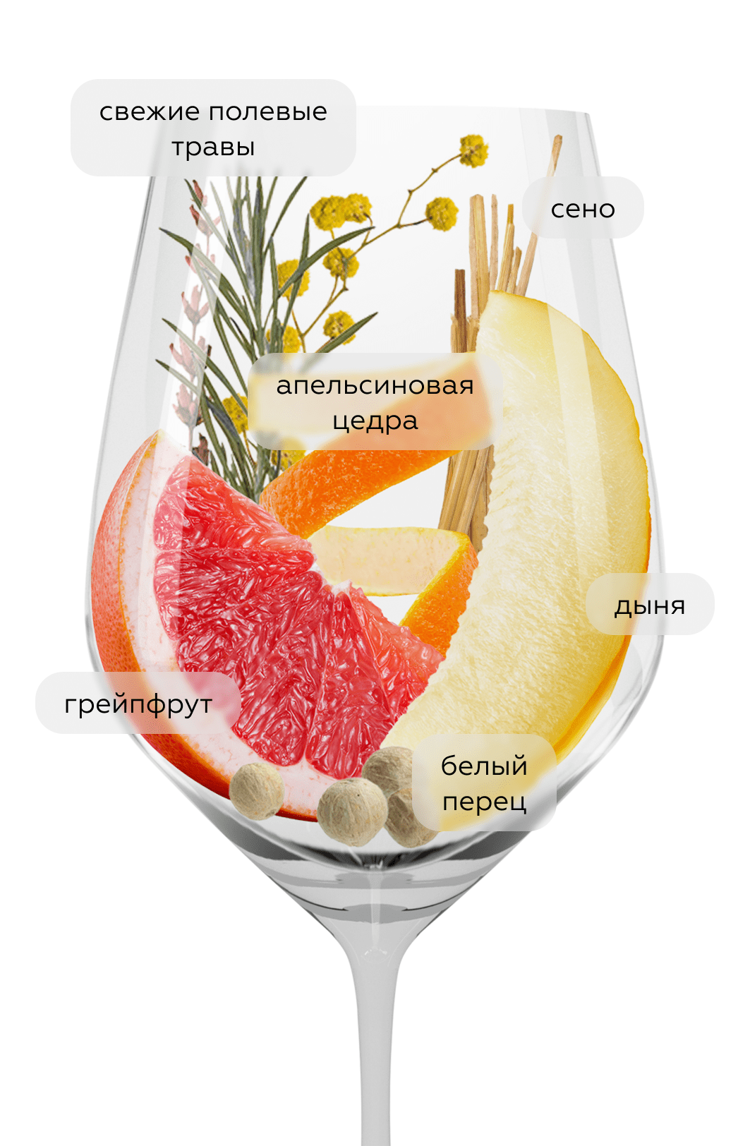 Вино Gruner Veltliner Kittmannsberg, Nastl, 2020, (135413), Австрия, Нижняя Австрия, белое, сухое, 0.75 л, Грюнер Вельтлинер Киттманнсберг, цена 3143 рублей