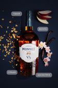 Крепкие напитки из Франции Monnet VS