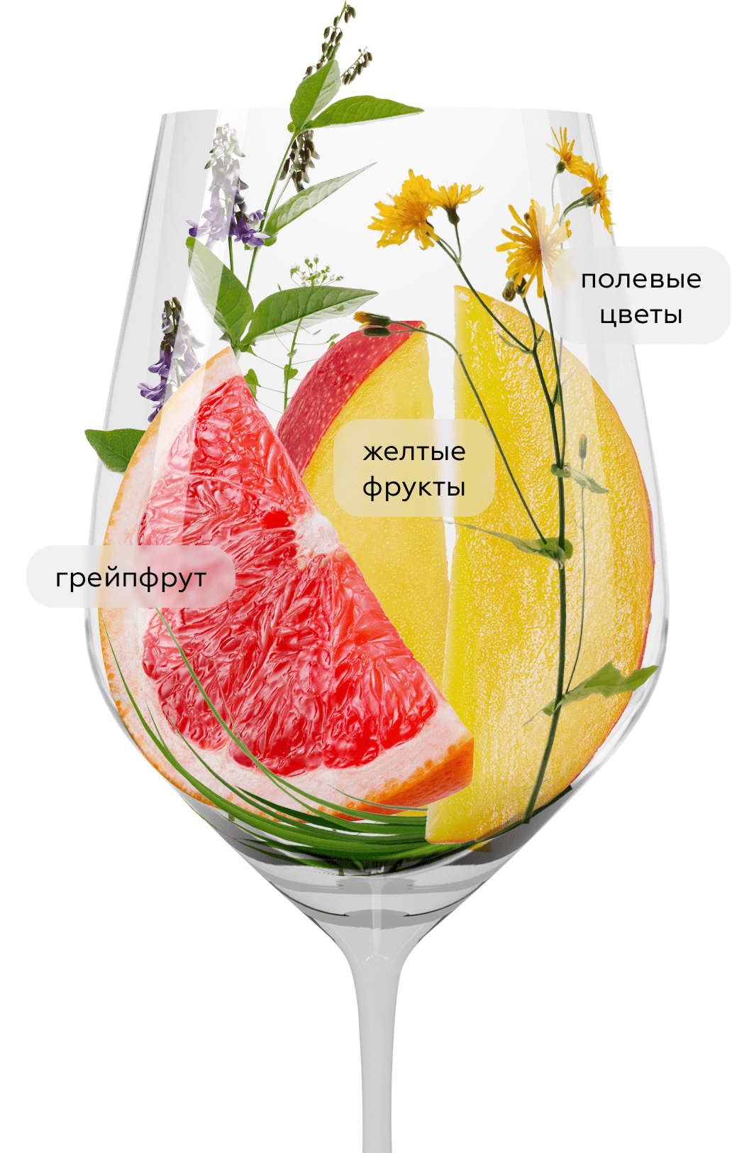 Вино Bourgogne Jurassique, Jean-Marc Brocard (Domaine Sainte-Claire), 2024, (159466), Франция, Бургундия, белое, сухое, 0.75 л, Бургонь Шардоне Жюрассик, цена 4490 рублей