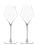 Бокалы для шампанского Хрустальное стекло Набор из 2-х бокалов Josephine для шампанского