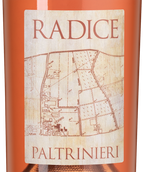 Шипучее вино Lambrusco di Sorbara Radice в подарочной упаковке