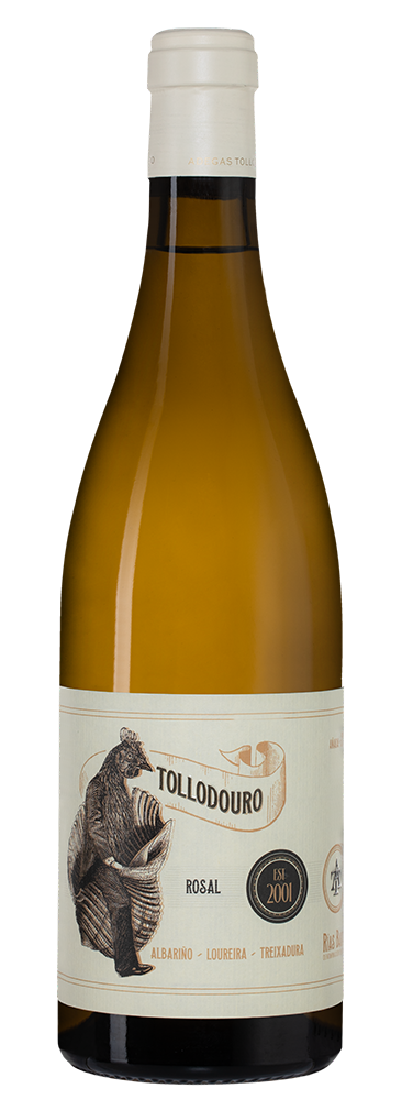 Вино Tollodouro, Bodegas Horacio Gomez Araujo, 2023, (154579), Испания, Галисия, белое, сухое, 0.75 л, Тольодоуро, цена 4490 рублей
