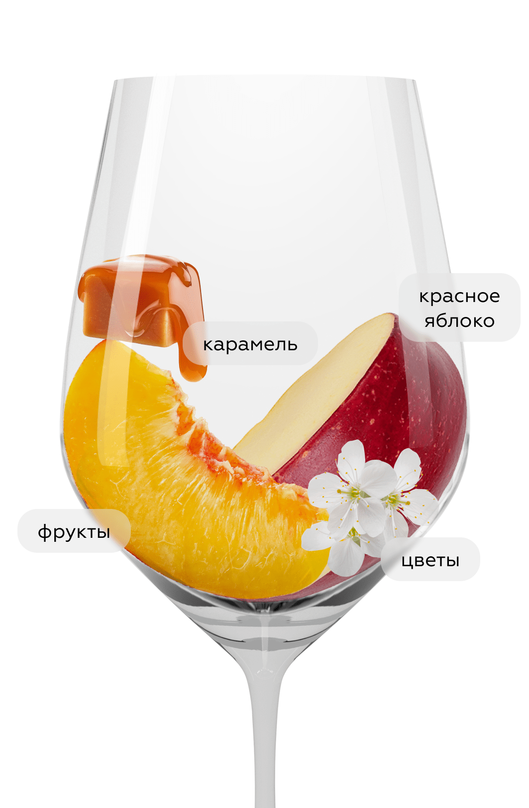 Игристое вино Ritmo Latino Brut, Vina San Pedro, (149643), Чили, Кокимбо, белое, брют, 0.75 л, Ритмо Латино Брют, цена 1790 рублей