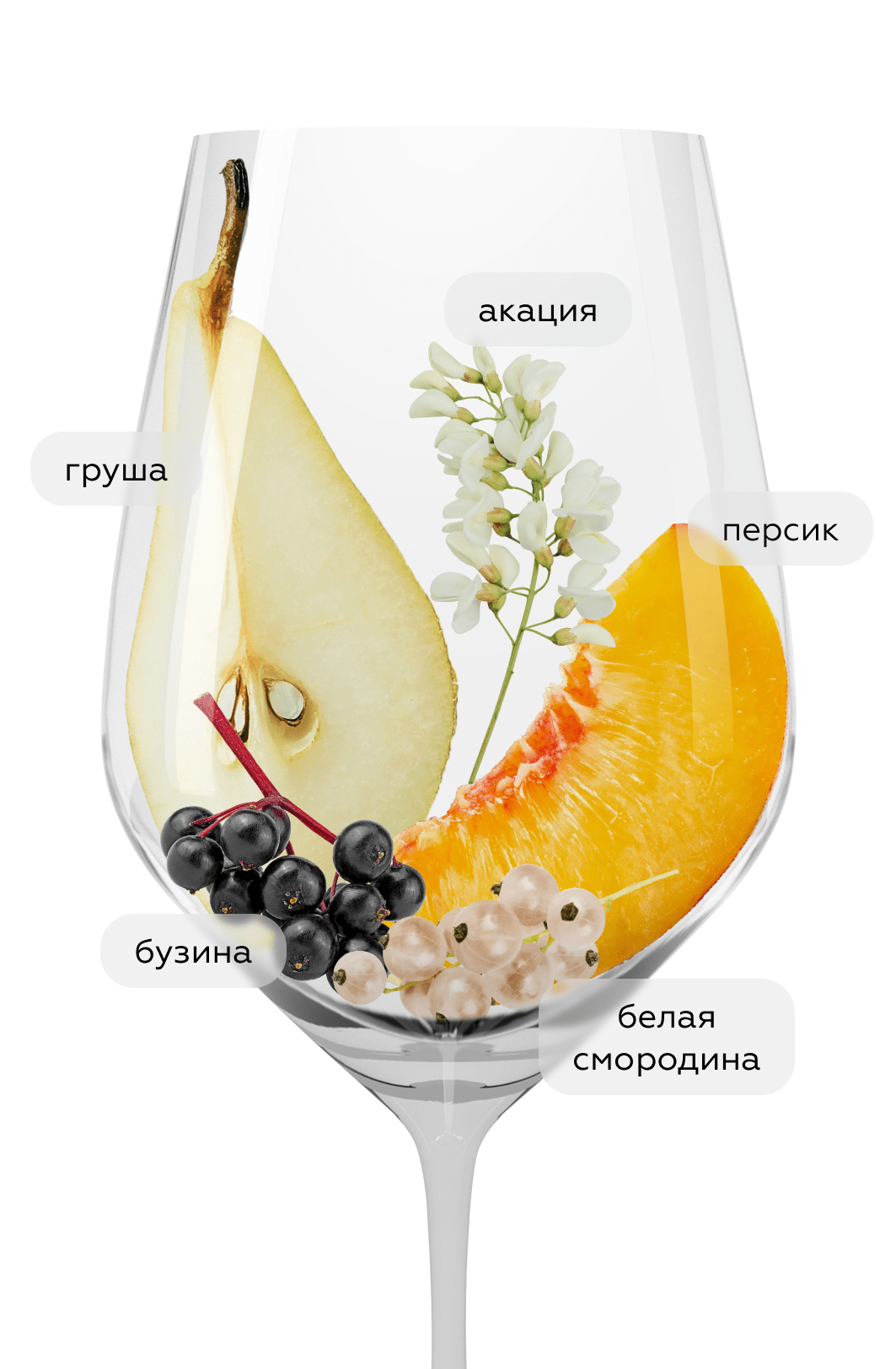 Игристое вино Bruni Prosecco Valdobbiadene, (153956), Италия, Венето, белое, брют, 0.75 л, Просекко Вальдоббьядене Супериоре Брют, цена 2018 рублей