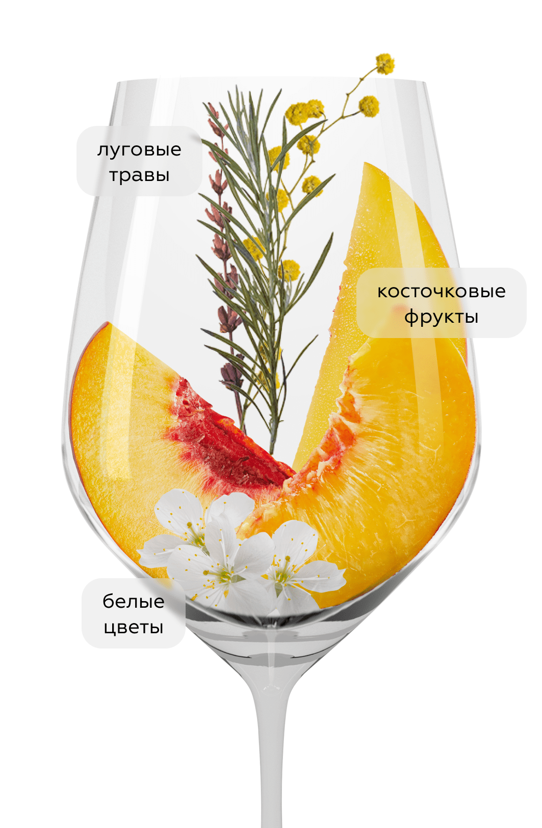 Вино La Linda Viognier, Luigi Bosca, 2023, (147502), Аргентина, Мендоса, белое, сладкое, 0.75 л, Вионье Ла Линда Свит, цена 1990 рублей