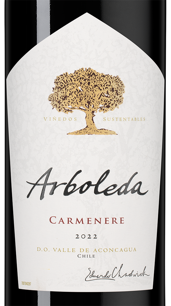 Вино Carmenere, Vina Arboleda, 2022, (146454), Чили, Аконкагуа, красное, сухое, 0.75 л, Карменер, цена 4490 рублей