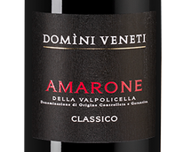Полусухое вино Amarone della Valpolicella Classico в подарочной упаковке