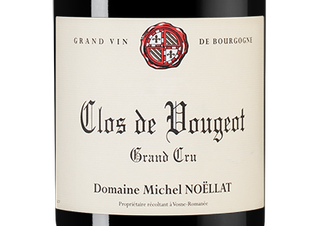 Вино Clos de Vougeot Grand Cru, (148114), красное сухое, 2021 г., 0.75 л, Кло де Вужо Гран Крю цена 69990 рублей