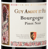 Вино Пино Нуар Bourgogne Pinot Noir