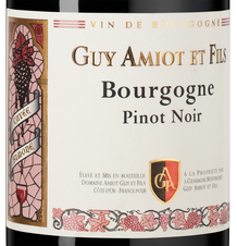 Вино Bourgogne Pinot Noir, (148213), красное сухое, 2022, 0.75 л, Бургонь Пино Нуар цена 7990 рублей