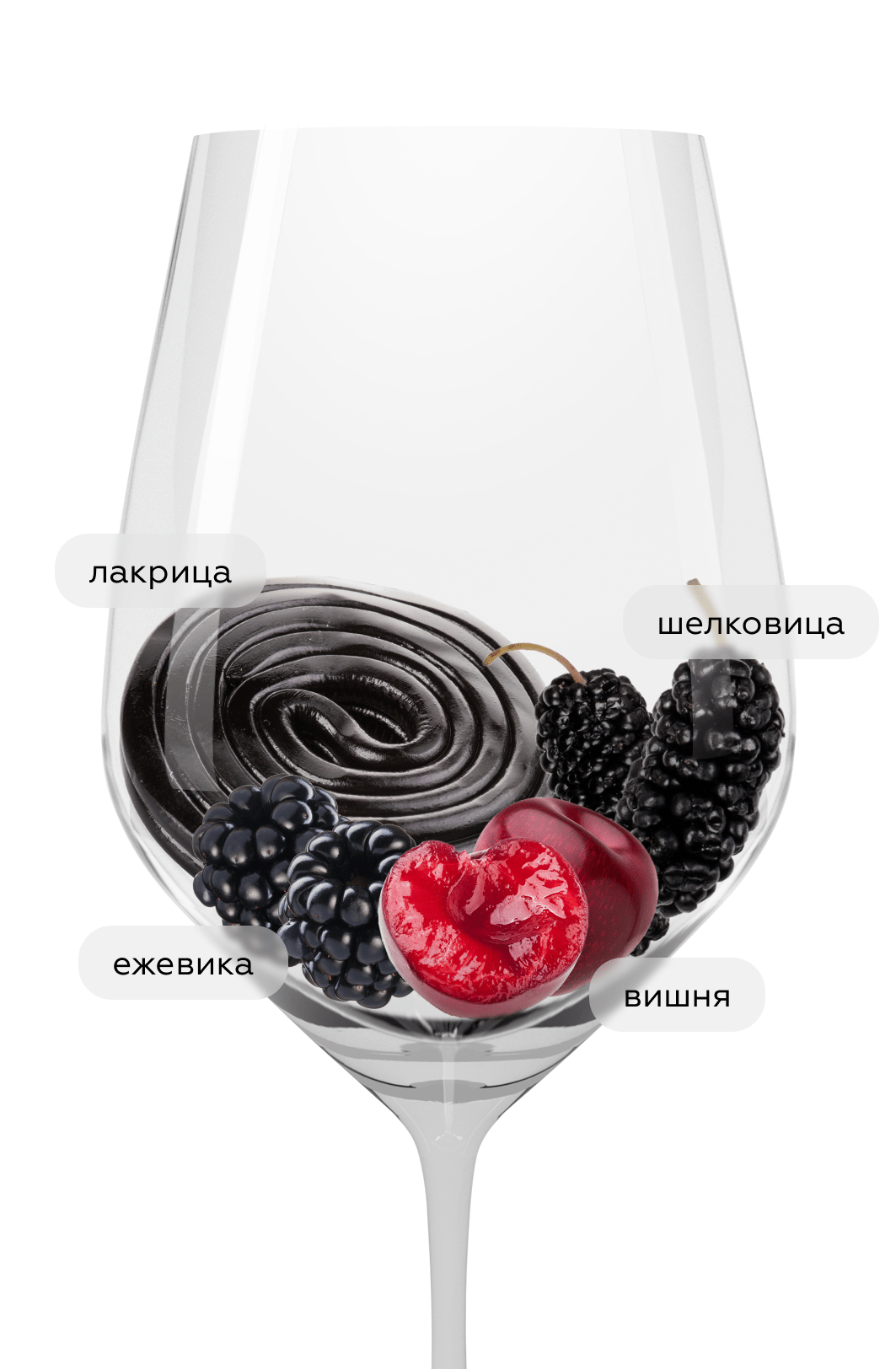 Вино Reverdon, Chateau Thivin, 2023, (155268), Франция, Бургундия, красное, сухое, 0.75 л, Ревердон, цена 6790 рублей