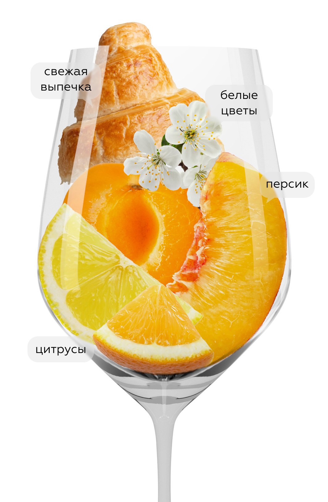 Игристое вино Kaapse Vonkel Brut в подарочной упаковке, Simonsig, 2021, (147117), Южная Африка, Вестерн Кейп, белое, брют, 0.75 л, Каапс Вонкель Брют, цена 3990 рублей