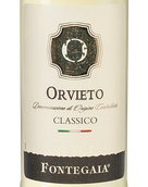 Итальянское белое вино Fontegaia Orvieto Classico
