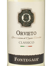 Вино Fontegaia Orvieto Classico, (138933), белое сухое, 2021 г., 0.75 л, Фонтегайа Орвието Классико цена 1390 рублей