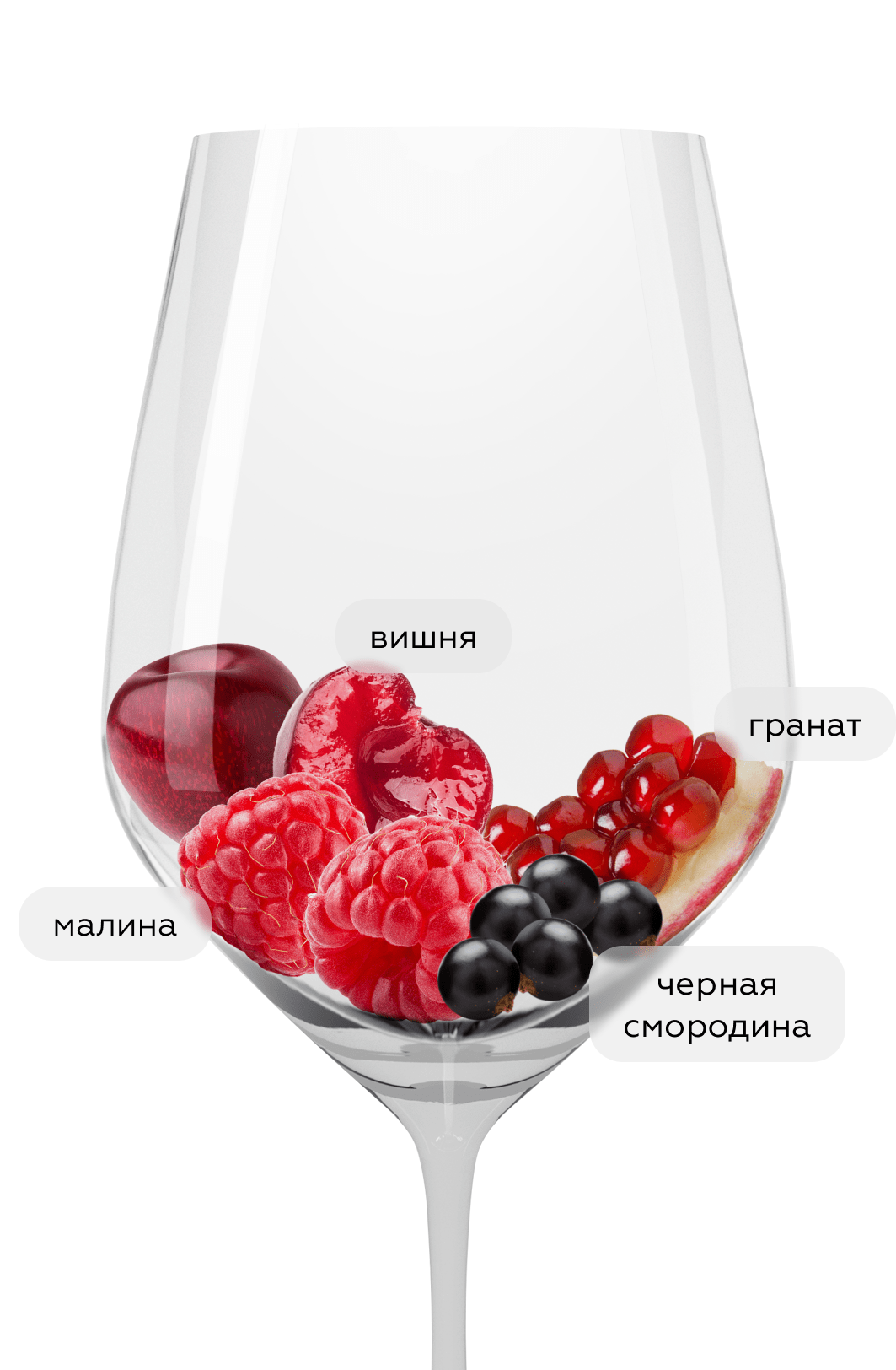 Вино Bourgogne Pinot Noir, Patriarche, 2024, (157993), Франция, Бургундия, красное, сухое, 0.75 л, Бургонь Пино Нуар, цена 5990 рублей