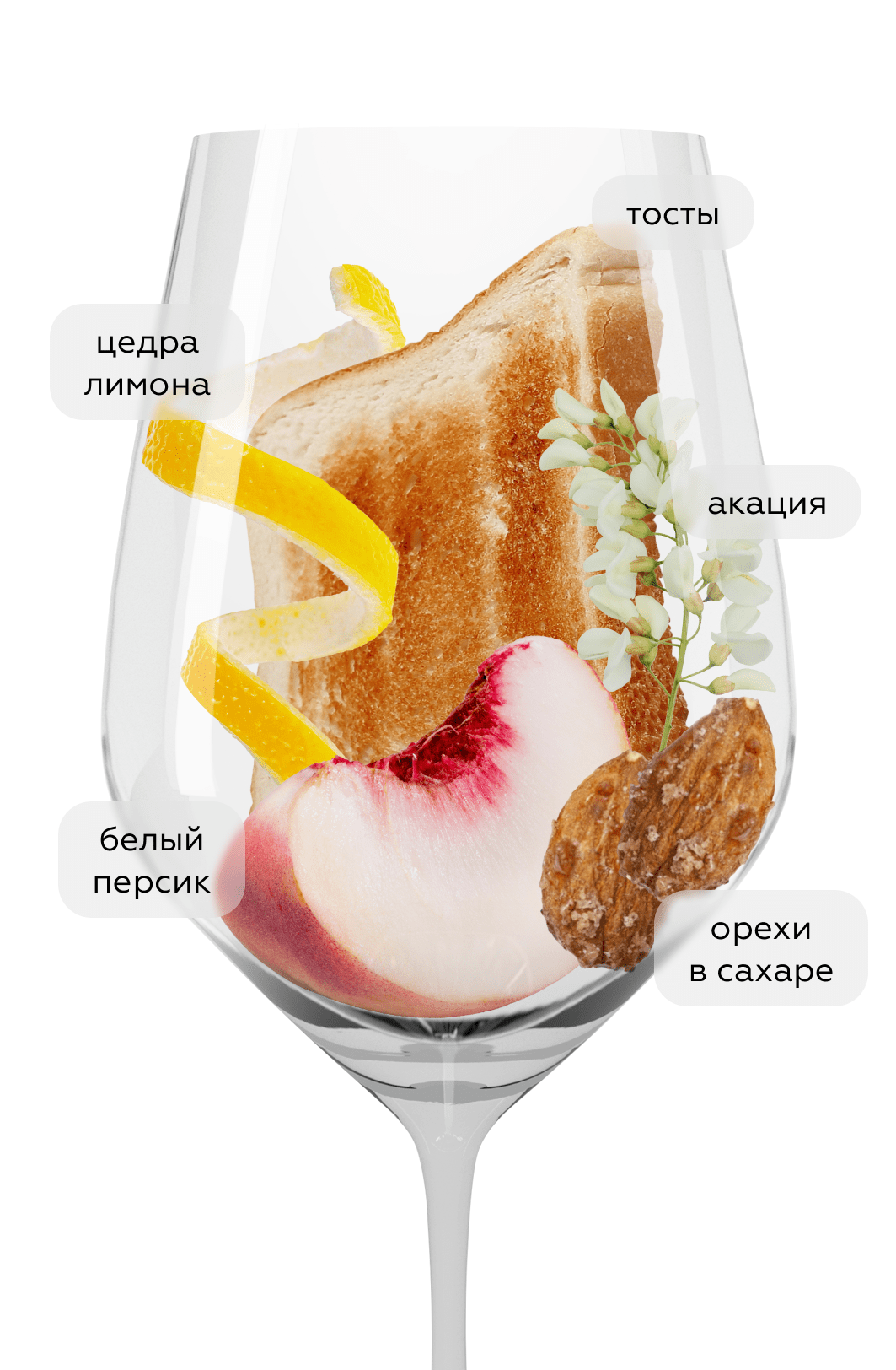 Шампанское Brut Regence в подарочной упаковке, Brimoncourt, 2018, (157231), Франция, Шампань, белое, экстра брют, 0.75 л, Брют Режанс, цена 14990 рублей