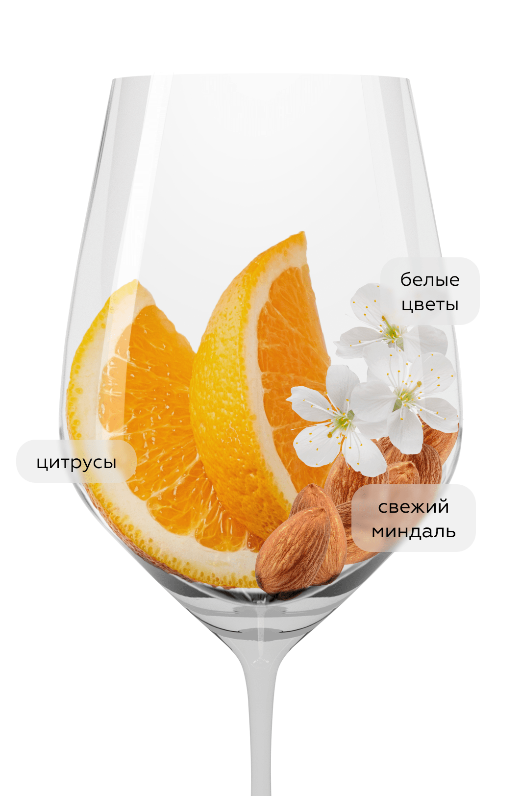 Игристое вино Monge Granon Cremant de Die, (159553), Франция, Долина Роны, белое, брют, 0.75 л, Креман де Ди, цена 3190 рублей