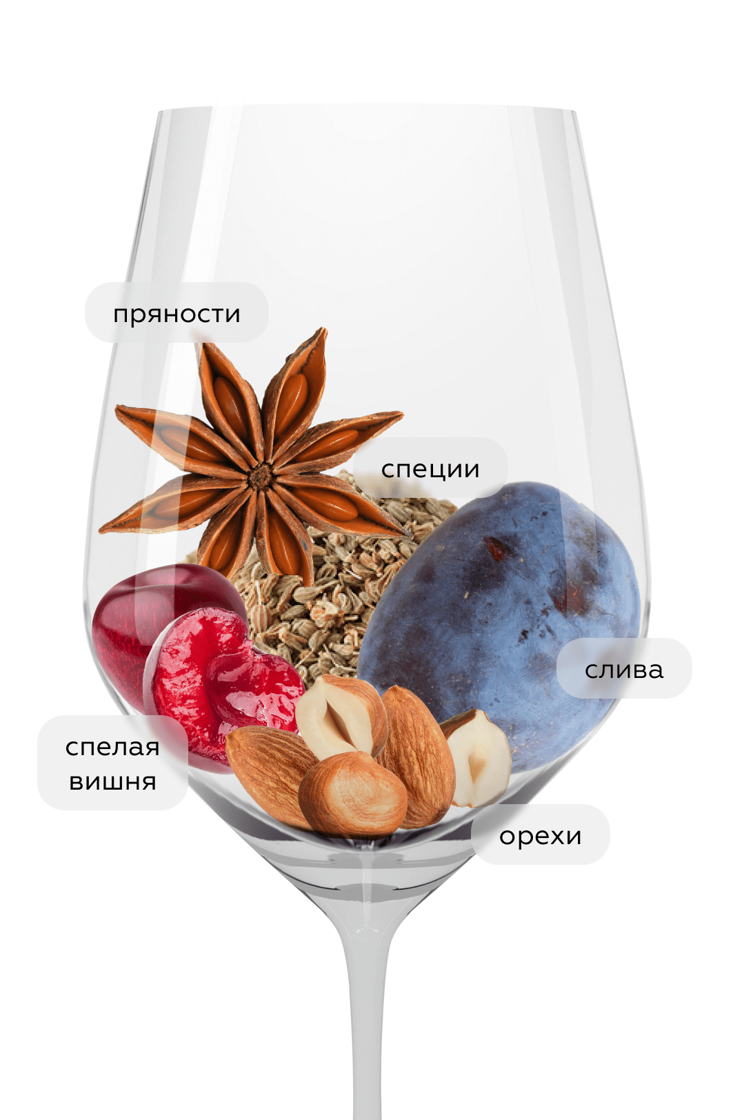 Вино De Sangre Malbec, Luigi Bosca, 2023, (154689), Аргентина, Мендоса, красное, сухое, 0.75 л, Де Сангре Мальбек, цена 4490 рублей