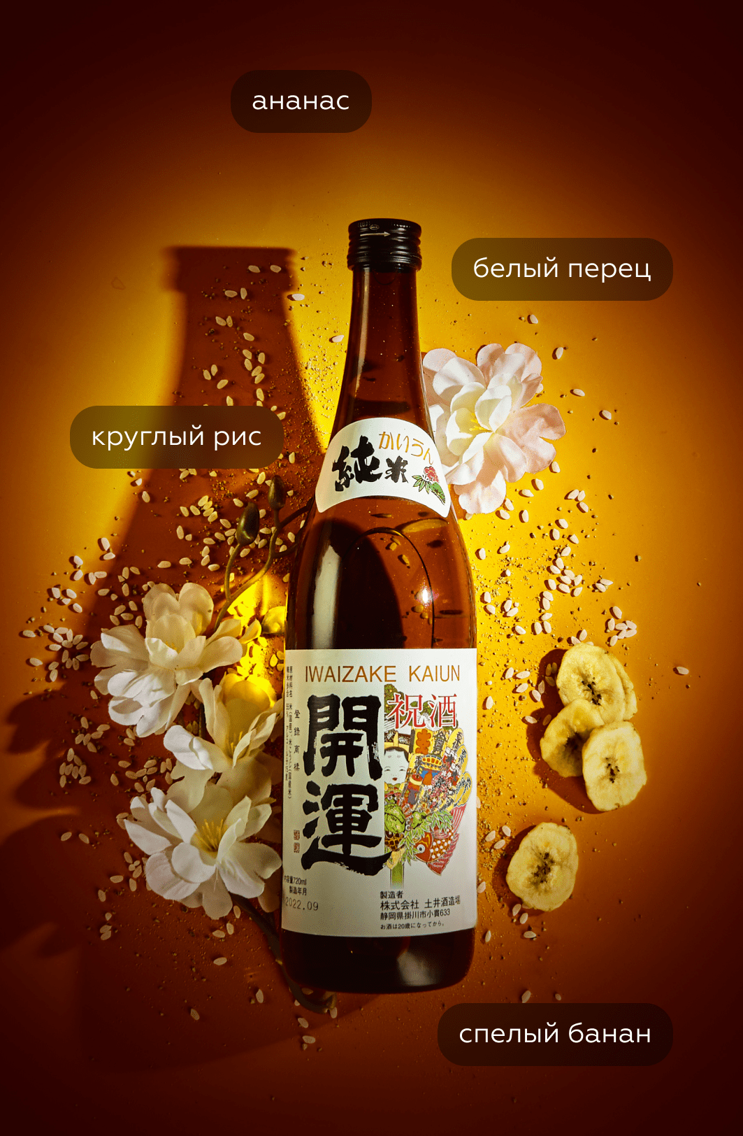 Саке Kaiun Iwaizake в подарочной упаковке, 0.3л, (121858), Япония, Сидзуока, 0.3 л, Кайун Иваидзаке, цена 1493 рублей