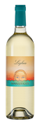 Lighea
