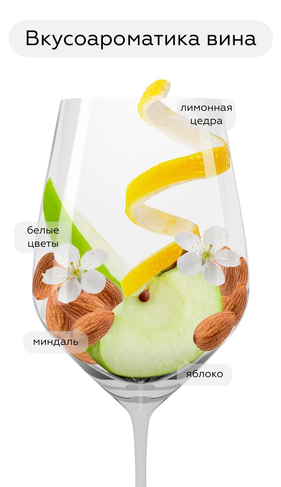 Игристое вино Prosecco Superiore Valdobbiadene Quartese Brut, Ruggeri, (156615), Италия, Венето, белое, брют, 0.75 л, Просекко Супериоре Вальдоббьядене Куартезе Брют, цена 2872 рублей