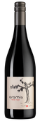 Aramis Rouge