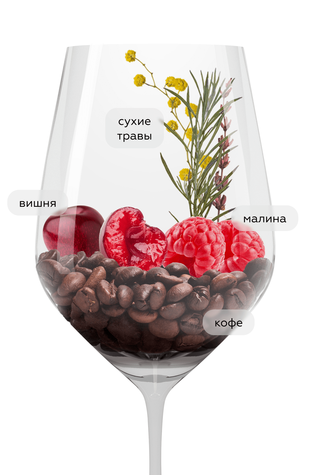 Вино Belouve Rouge, Domaines Bunan, 2020, (140979), Франция, Прованс, красное, сухое, 0.75 л, Белуве Руж, цена 5490 рублей