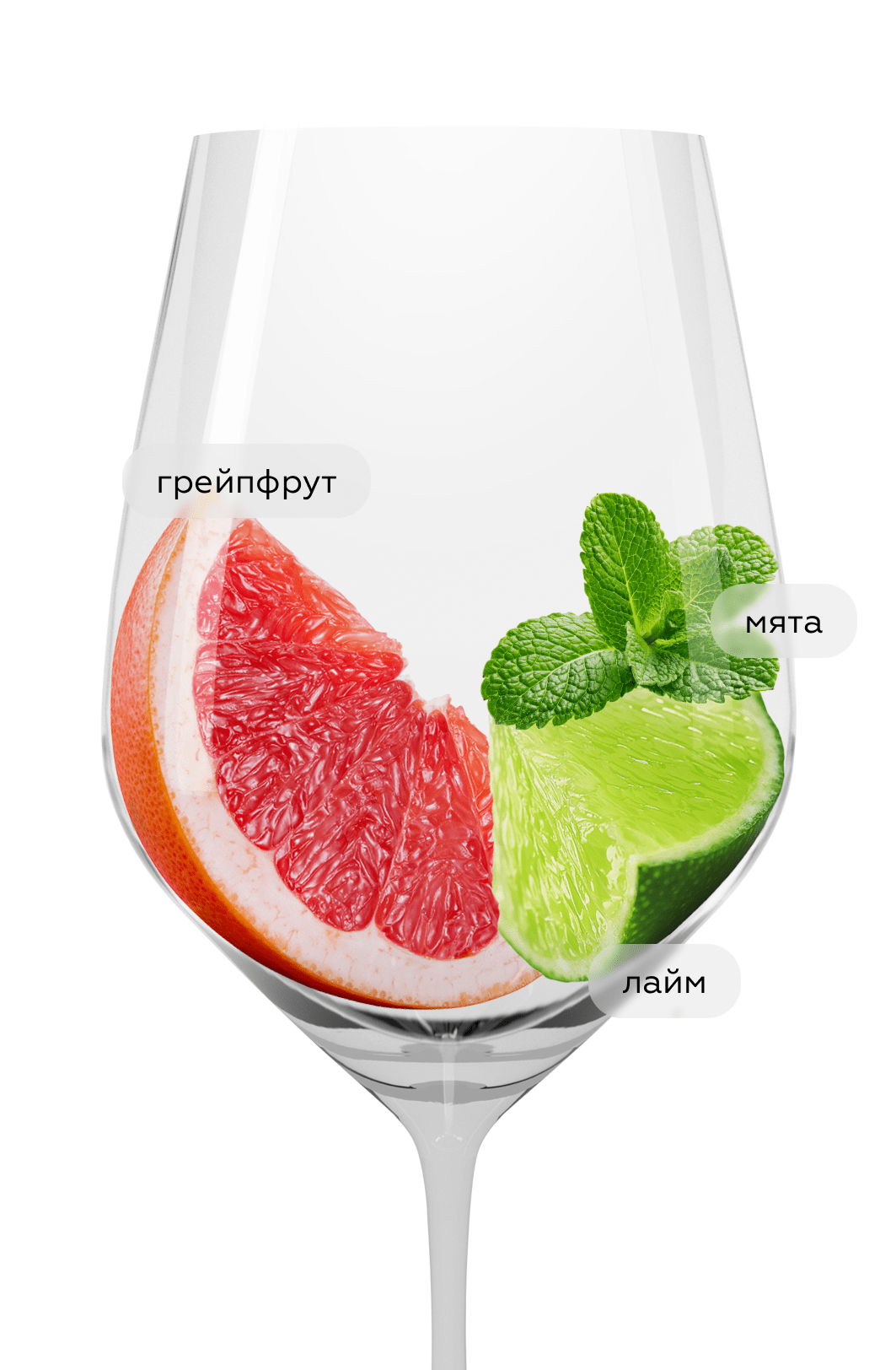 Вино Cellar Selection Sauvignon Blanc, Santa Carolina, 2023, (143972), Чили, Центральная Долина, белое, сухое, 0.75 л, Селлар Селекшн Совиньон Блан, цена 990 рублей