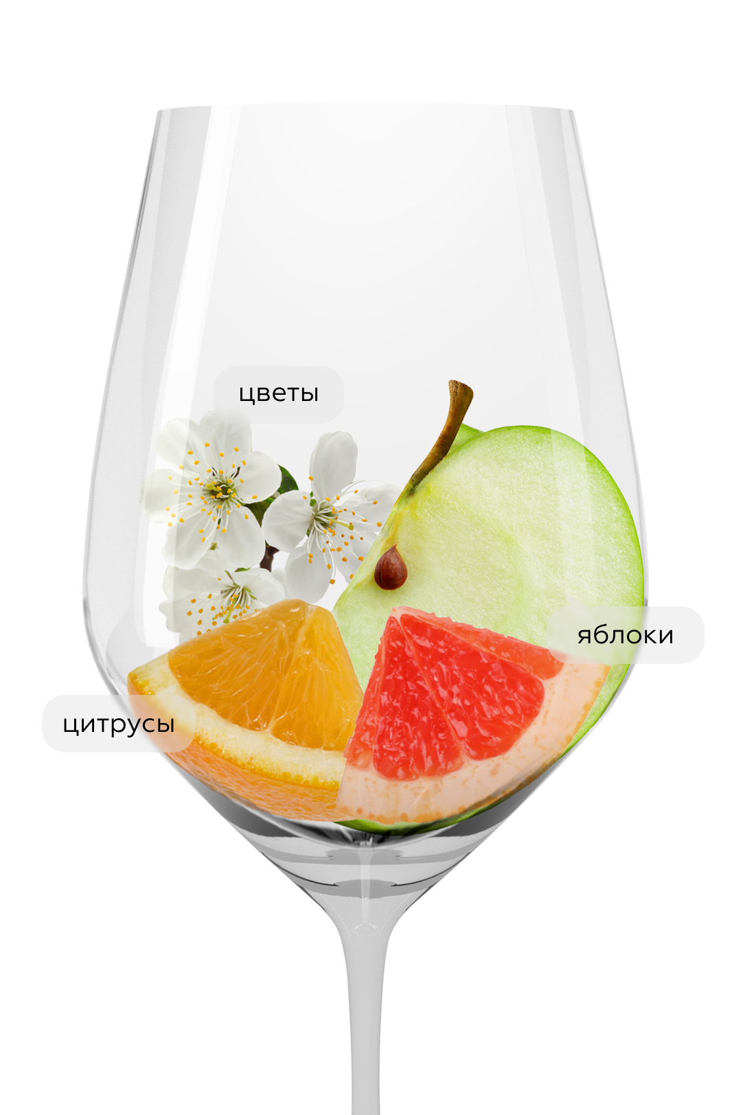 Игристое вино Prosecco Novapalma Maia, (149134), Италия, Венето, белое, брют, 0.75 л, Майя Просекко Миллезимато Брют, цена 2690 рублей