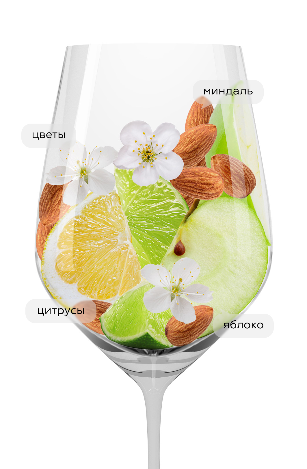 Вино Garganega, Domini Veneti, 2020, (130017), Италия, Венето, белое, полусухое, 0.75 л, Гарганега, цена 2990 рублей