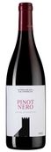 Вино из Трентино-Альто Адидже Pinot Nero (Blauburgunder)
