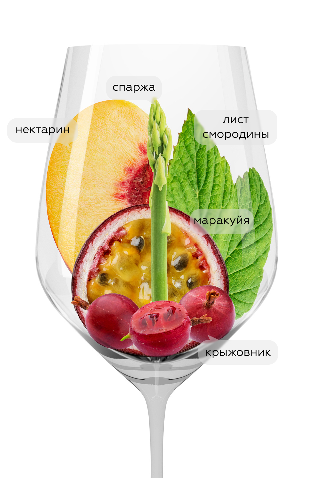 Вино Совиньон Блан Красная Горка, Галицкий и Галицкий, 2021, (144728), Россия, Кубань, белое, сухое, 0.75 л, Совиньон Блан Красная Горка, цена 4190 рублей