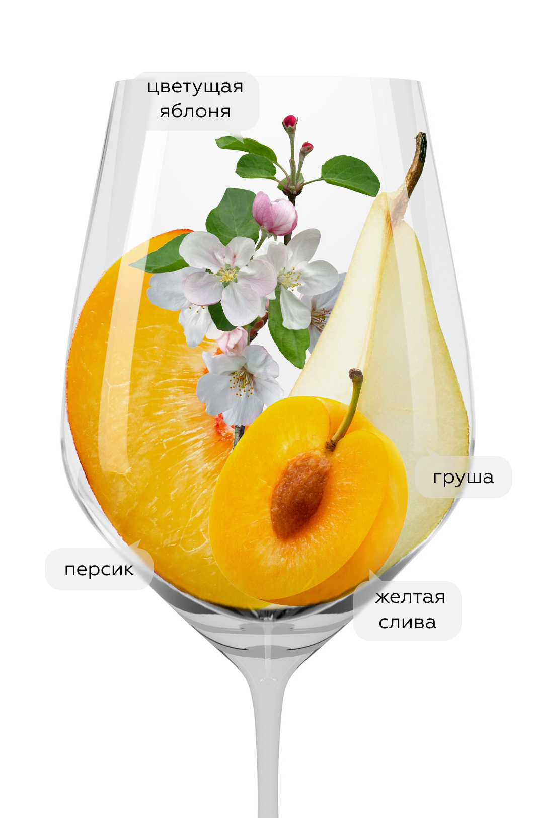 Вино Green Soul Riesling Organic, Weinkellerei Hechtsheim, 2023, (151249), Германия, Рейнгессен, белое, полусухое, 0.75 л, Грин Соул Рислинг Био, цена 2340 рублей