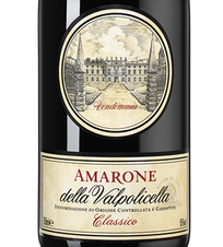 Вино Amarone della Valpolicella Classico, (150040), красное сухое, 2015, 0.75 л, Амароне делла Вальполичелла Классико цена 39990 рублей